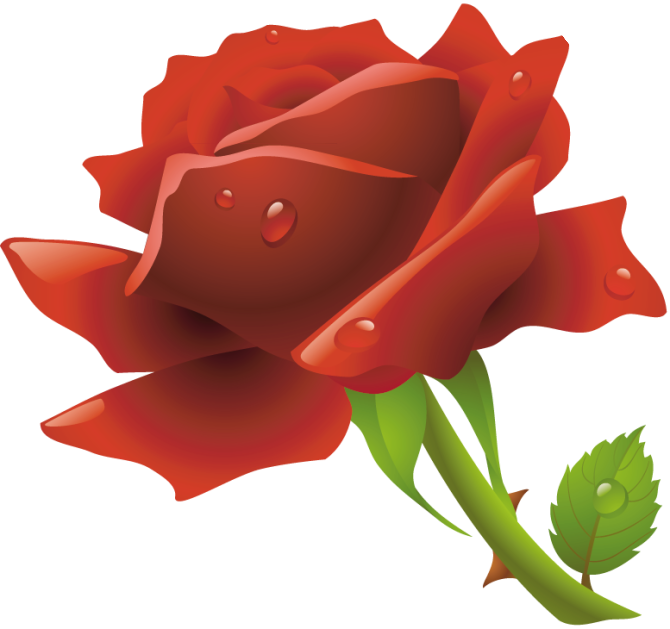 70024682_1296487291_07.png