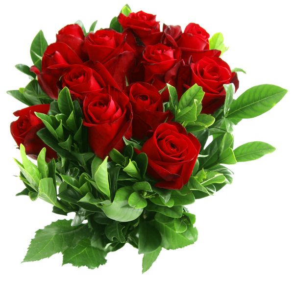 Red_Rose_Bouquet_PNG_Picture.png Red_Rose_Bouquet_PNG_Picture.png