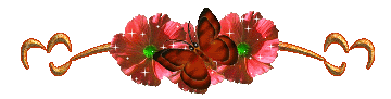 �1.gif