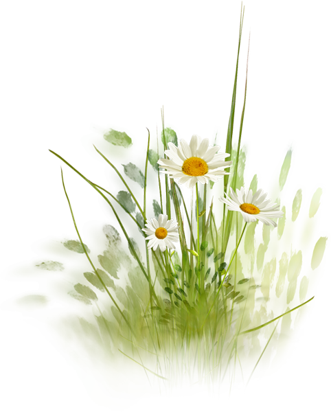 0_7771f_8394e69d_XL.png 0_7771f_8394e69d_XL.png