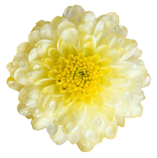 0_8396f_4cc0fc96_XL.png
