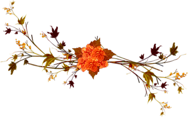 0_8e440_d6ad96e5_L.png 0_8e440_d6ad96e5_L.png