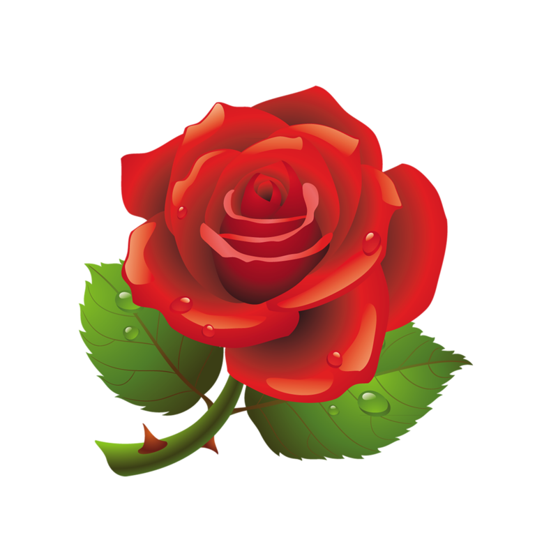 0_ccce3_418c1655_XL.png