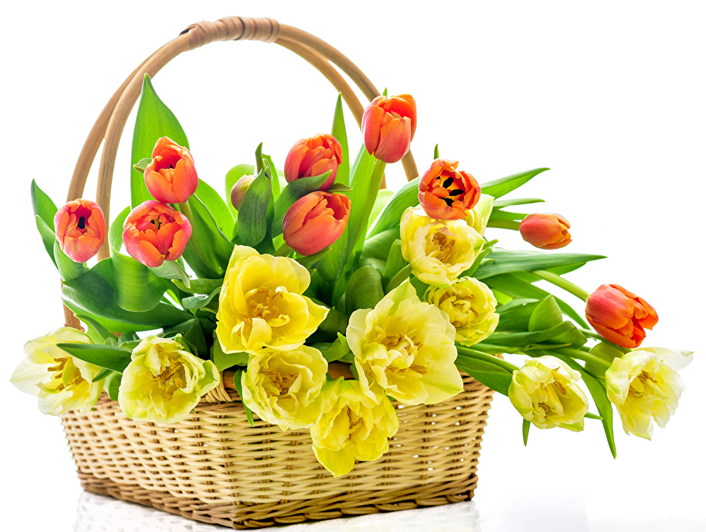 Tulips_Wicker_basket_489099.png