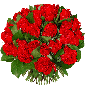 3282071-79ff81af2b79a258.gif 3282071-79ff81af2b79a258.gif