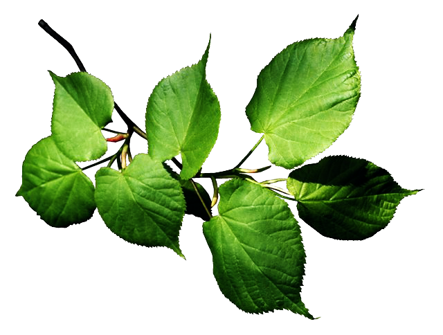 0_7ab52_948aaa99_XL.png