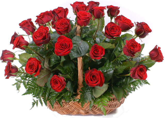 red-roses1.png
