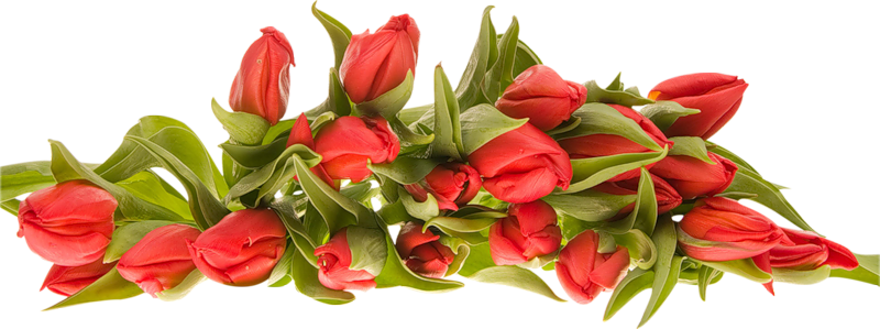 0_7f774_f4b2e7c_XL.jpg