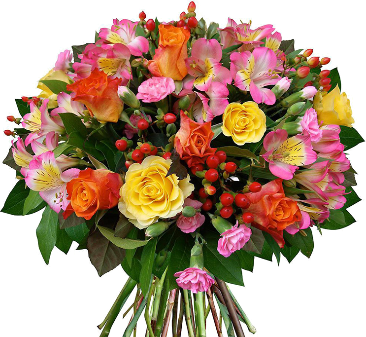 6240bb53da8e061c10d86fed0b1b86f5.png