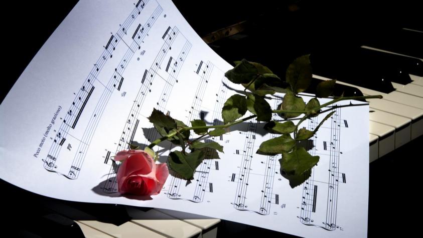 a-rose-1385786.jpg